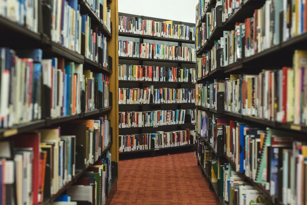 Estanteríes d'una biblioteca. / Pixabay