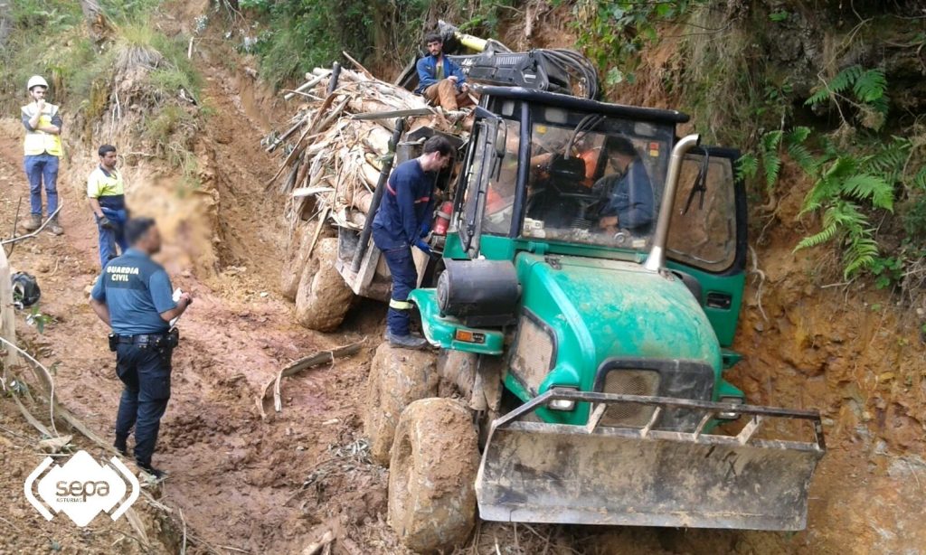 Un trabayador, mancáu en siendo cutíu por un árbol en Pravia. / SEPA