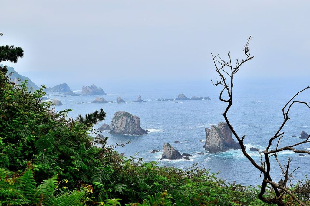 La costa occidental asturiana recibe’l Premiu Condé Nast Traveler al meyor destín nacional, que reconoz la escelencia viaxera. / Pixabay