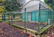 Confirmáu un focu urbanu de gripe aviar nel parque de Sabel La Católica de Xixón