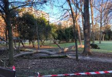 Asturies rexistra 169 incidencies rellacionaes colos fenómenos meteorolóxicos costeros y vientos