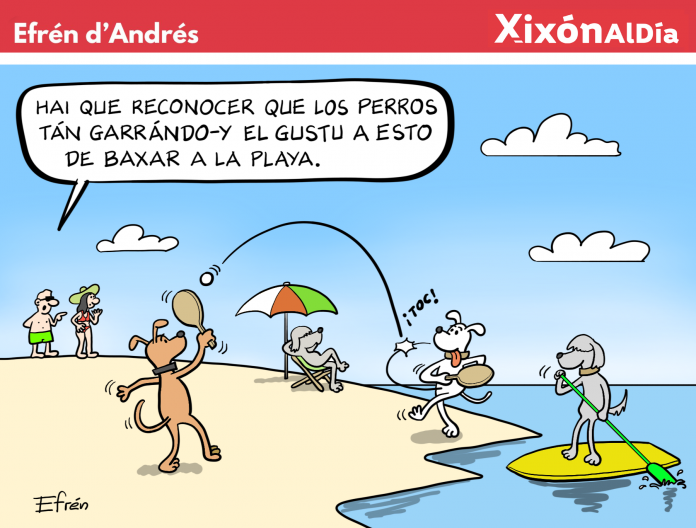40. Perros playeros cc