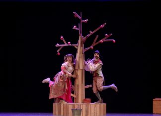 Elektrafiktion, Guayominí Producciones, Higiénico Papel Teatro y Luz de Gas Teatro, finalistes del X Premiu ‘Nel Amaro’ de Teatru n’asturianu