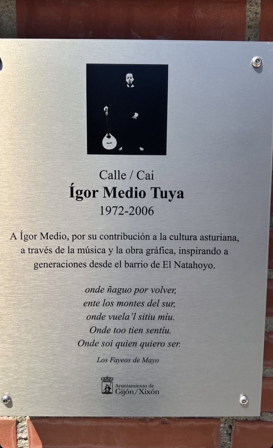 Placa Ígor Medio